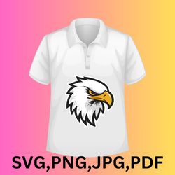 digital illustration falcon