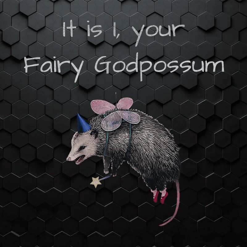WikiSVG-It-Is-I-Your-Fairy-Godpossum-Funny-Opossum-PNG.jpg