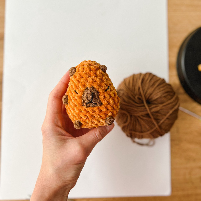 SQUISHMALLOWS CAPYBARA PATTERN 3.jpg