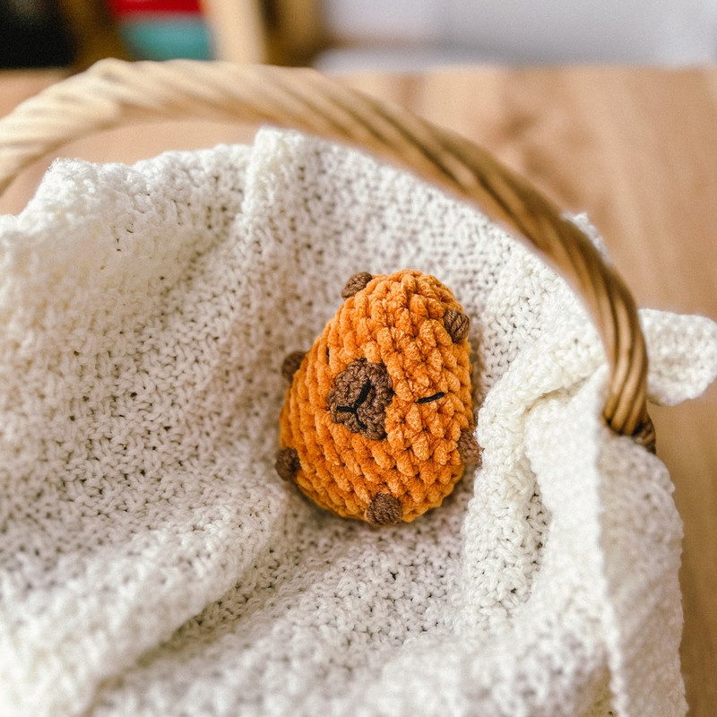 SQUISHMALLOWS CAPYBARA PATTERN 4.jpg