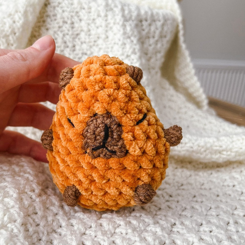 SQUISHMALLOWS CAPYBARA PATTERN 7.jpg