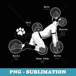 gay pride puppy diagram - exclusive png sublimation download