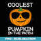 Coolest Pumpkin In The Patch Halloween Thanksgiving - Modern Sublimation PNG File