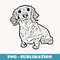 Dachshund Long Haired Doxie Cute Wiener Dog Puppy Eyes Love - Signature Sublimation PNG File