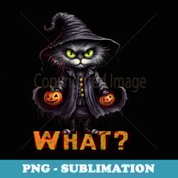 what cat black cat halloween scary cat angry cat pumpkin - exclusive png sublimation download