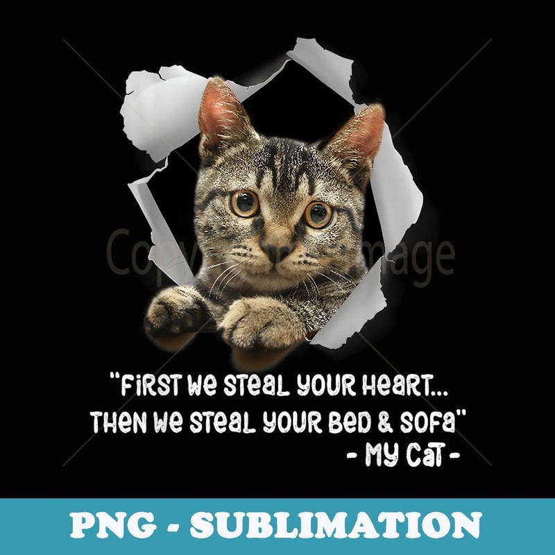 Cats 365 Cat Sofa Funny Sayings Cat Lover - Creative Sublimation PNG Download