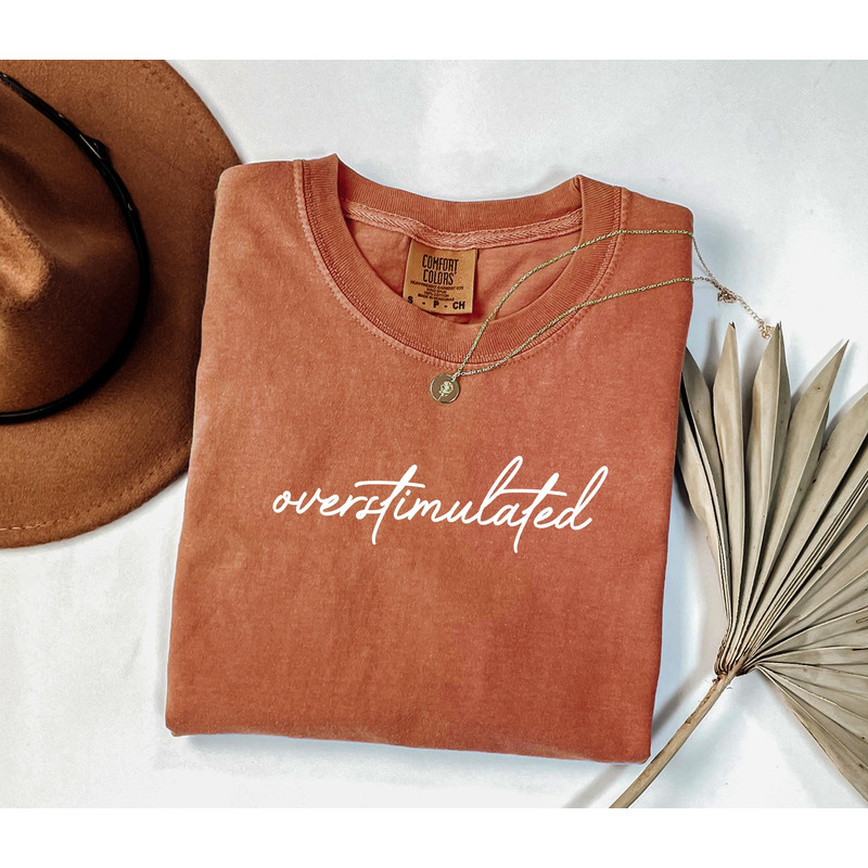 Overstimulated Tshirt Sarcastic Shirt Weirdcore Clothing Ironic Shirt Anxiety Tee Mental Health Shi 1