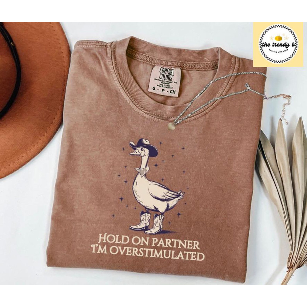 Hold On Partner Im Overstimulated Comfort Colors Tee Cowboy Duck Shirt Unhinged Tshirt Cowboy Frog  0