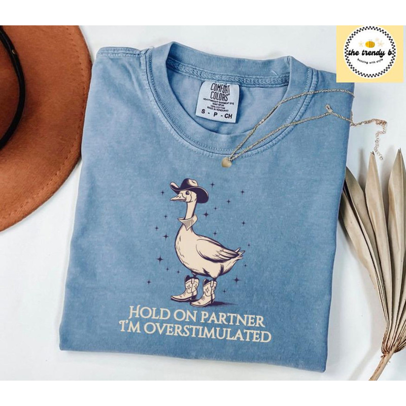 Hold On Partner Im Overstimulated Comfort Colors Tee Cowboy Duck Shirt Unhinged Tshirt Cowboy Frog  2