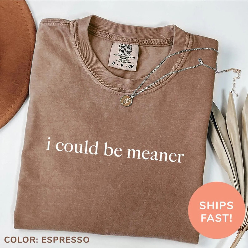 I Could Be Meaner Shirt Funny Humor Shirt Sarcastic Shirt Funny Quote Shirt Sarcasm Shirt Trendy Sh 0