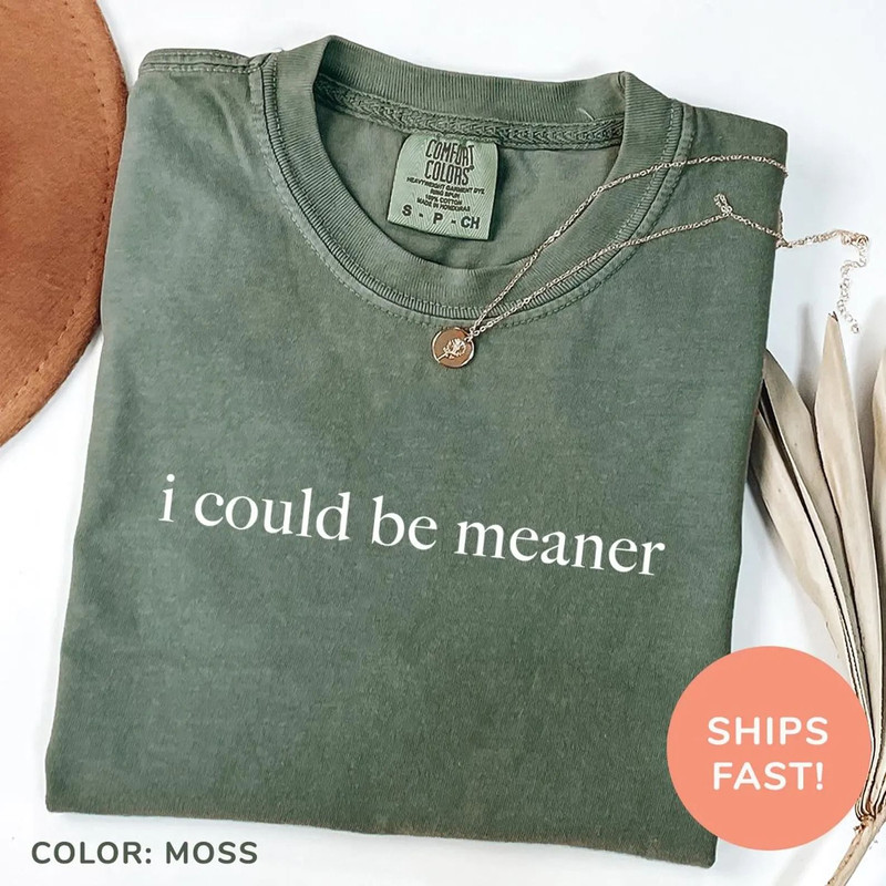 I Could Be Meaner Shirt Funny Humor Shirt Sarcastic Shirt Funny Quote Shirt Sarcasm Shirt Trendy Sh 2