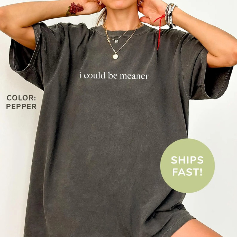 I Could Be Meaner Shirt Funny Humor Shirt Sarcastic Shirt Funny Quote Shirt Sarcasm Shirt Trendy Sh 3