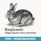 Booplesnoot Cute Funny Bunny Rabbit Lover Back to School - Elegant Sublimation PNG Download