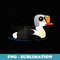 Birdorable King Eider Cute Cartoon Sea Duck Birder Idea - Digital Sublimation Download File