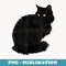 Black Cat Spooky Yellow Eyes Halloween Cat - Exclusive PNG Sublimation Download