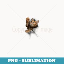 lovely kitten cracked wall cats - vintage sublimation png download