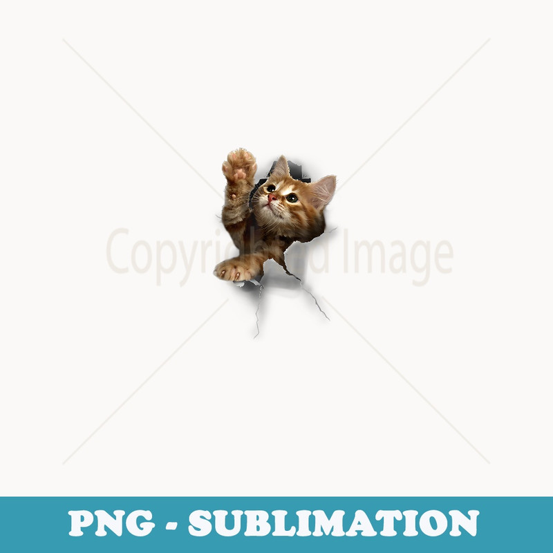 Lovely Kitten Cracked Wall Cats - Vintage Sublimation PNG Download
