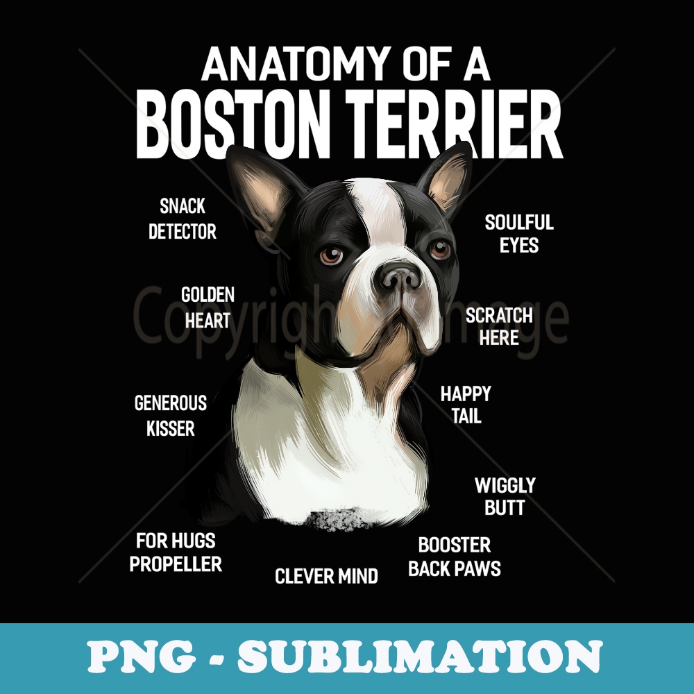 Dogs 365 Anatomy of a Boston Terrier Dog Funny - Premium PNG Sublimation File
