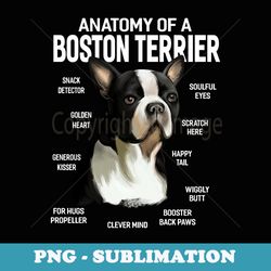 dogs 365 anatomy of a boston terrier dog funny - premium png sublimation file