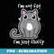 I'm not fat I'm Just Fluffy Cat Cute Funny - Retro PNG Sublimation Digital Download