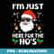 Im Just Here For The Hos Inappropriate Christmas Adult Funny - Creative Sublimation PNG Download