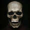 Realistic Human Skull Mask with Moving Jaw (1).jpg