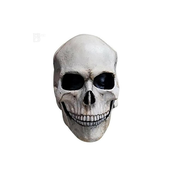 Realistic Human Skull Mask with Moving Jaw (3).jpg
