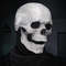 Realistic Skull Mask with Moving Jaw