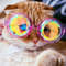Motley Crystal Glasses (3).jpg