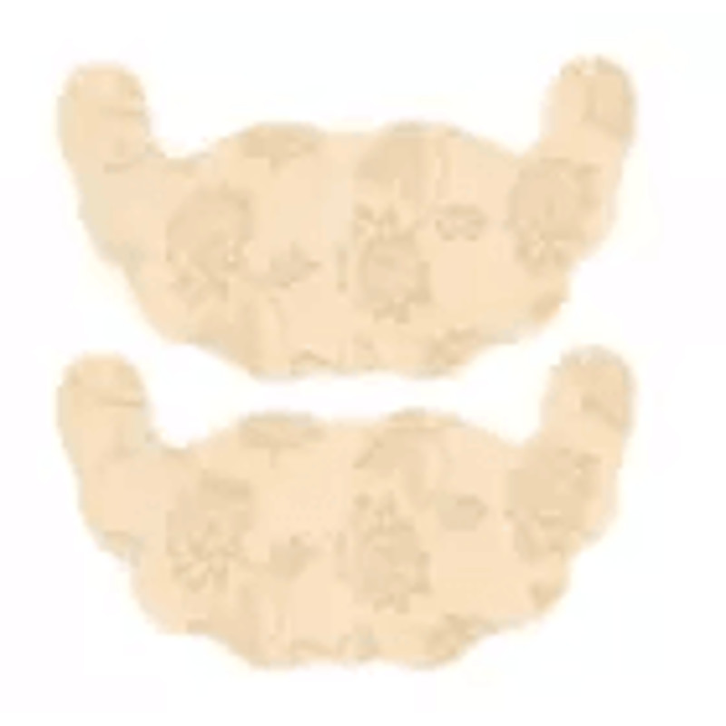 Lace Invisible Bra Adhesive Tape Instant Breast Lift  Nipple Covers For Strapless Outfits 1