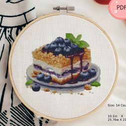 Cross Stitch Pattern , Blueberry Cake,X Stitch Pattern, Pdf, Instant Download,Food, Watercolor,Desserts