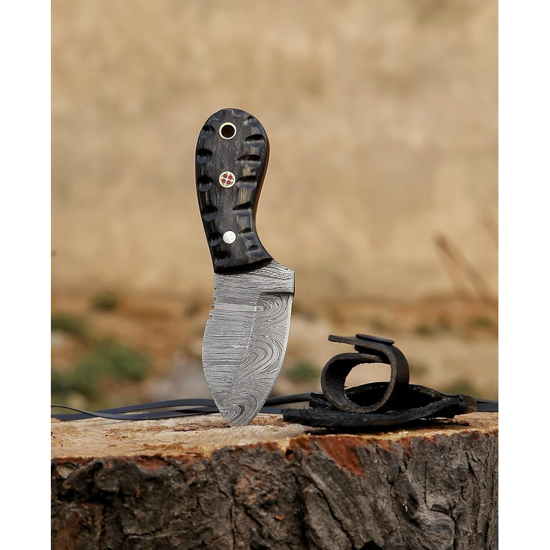 81EsuwShorL._AC_SL1500_.jpg