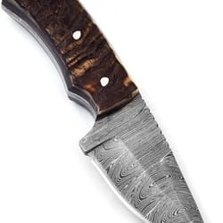 alfari handmade damascus steel 5.5 inches full tang skinner knife ram horn handle for outdoor camping knife camping