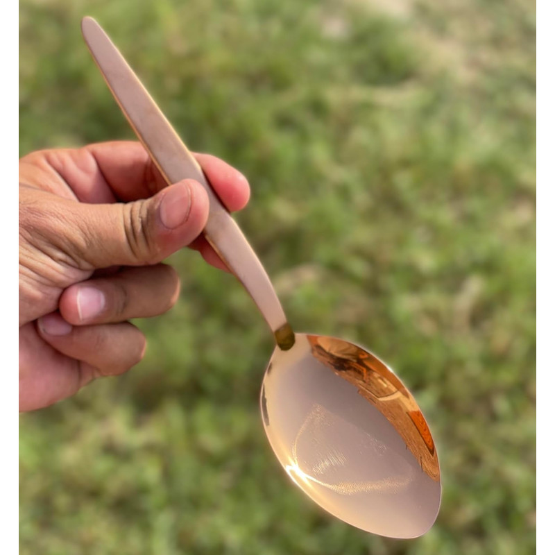 ALFARI Cooking Spoons 1810 Stainless Steel Titanium Shiny Rose Gold Basting Spoon 9 Inches Plating 2