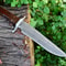 Handmade Damascus Bowie Knife With Sheath Outdoor Knife Survival Knife Camping Knife Fixed Blade Hu 1