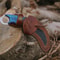 ALFARI Karambit Knife Fixed Blade With Sheath Claw Knife Blue Handle Sharp Blade Camping Knives Kar 3