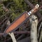 ALFARI Custom Handmade D2 Steel 16 Hunting Camping Bowie Knife With Stag Horn Handle EDC Fixed Blad 2