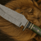 Handmade Damascus Steel Bowie Knife Green Exotic Handle Hunting Camping Collectors Blade 0