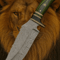 Handmade Damascus Steel Bowie Knife Green Exotic Handle Hunting Camping Collectors Blade 2