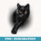 Black Cat Yellow Eyes Cats s - Creative Sublimation PNG Download