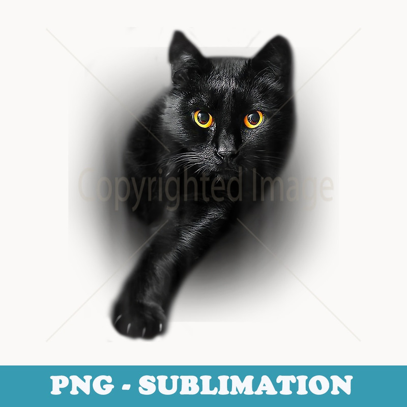 Black Cat Yellow Eyes Cats s - Creative Sublimation PNG Download