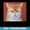Dont Test Me Angry Cat Meme Funny - Retro PNG Sublimation Digital Download