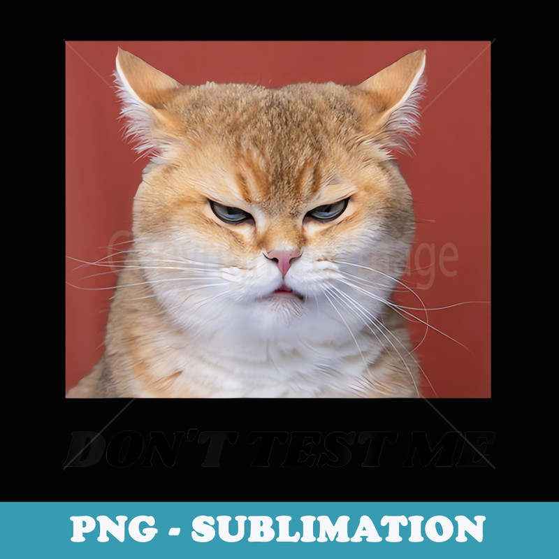Dont Test Me Angry Cat Meme Funny - Retro PNG Sublimation Digital Download