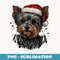 Xmas Yorkshire Terrier Santa on Christmas Yorkshire Terrier - PNG Sublimation Digital Download