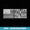 Pro Life Pro God Pro Gun Pro Trump - Modern Sublimation PNG File