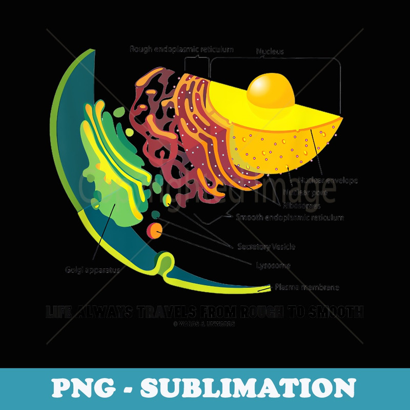 Life Always Travels From Rough To Smooth Cell Biology Humor - Unique Sublimation PNG Download