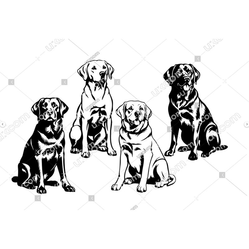 Zrzut ekranu 2024-06-12 125355.png