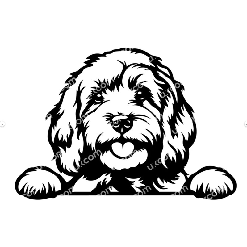 Zrzut ekranu 2024-06-12 130242.png