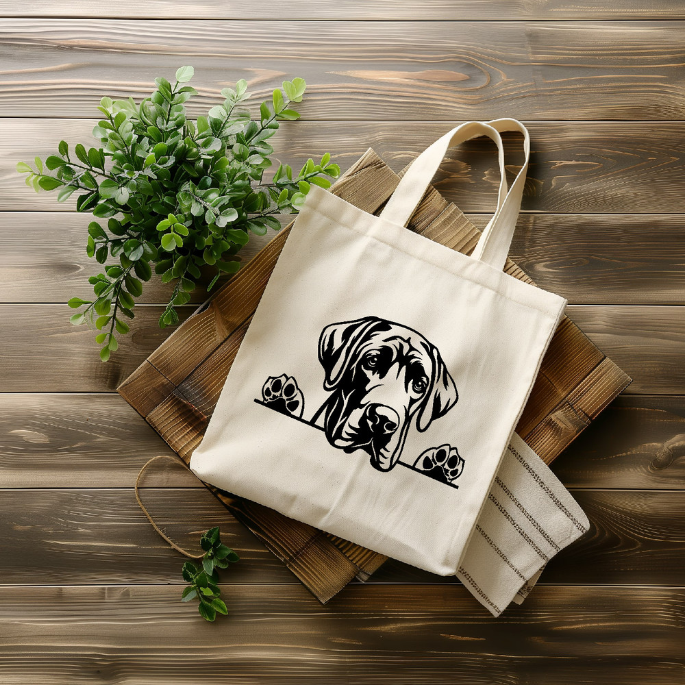 na inspire uplift-13.jpg