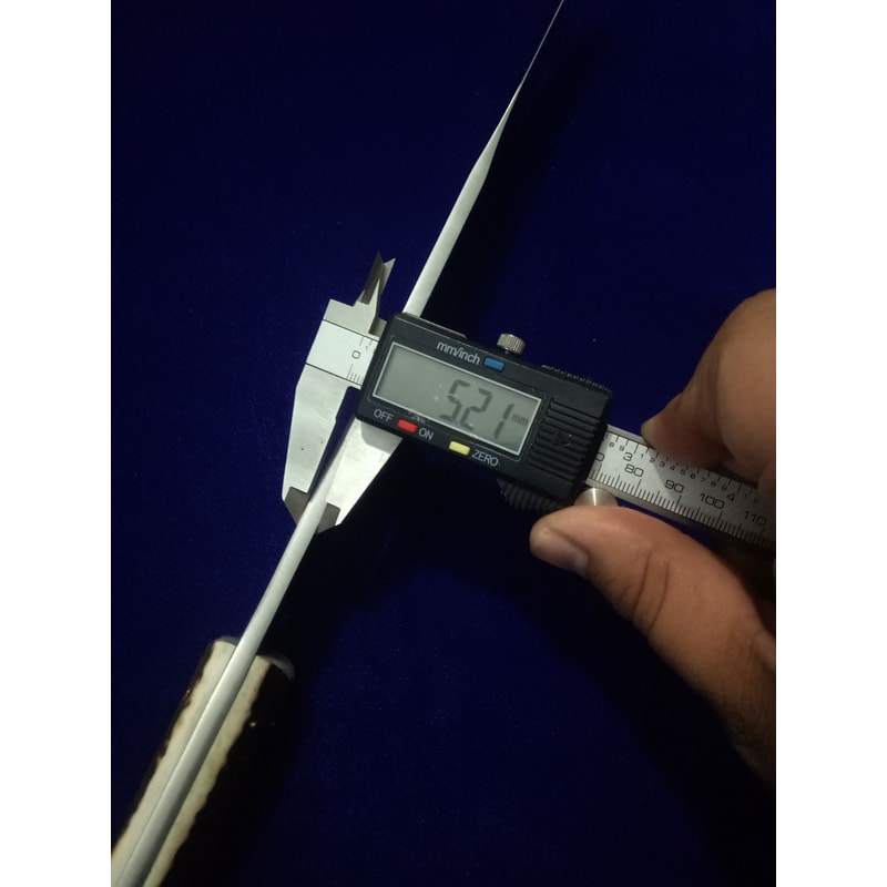 SEO Custom Handmade D2 Tool Steel Antler Stag Handle Large Hunting Camping Survival Knife 6